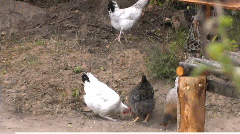 59ec7f8d3d993e273406a86db346c970.gif