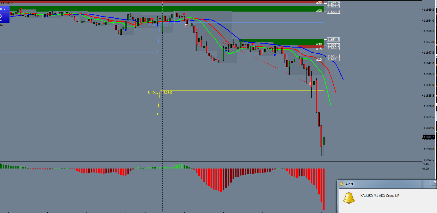 Forex spot trades