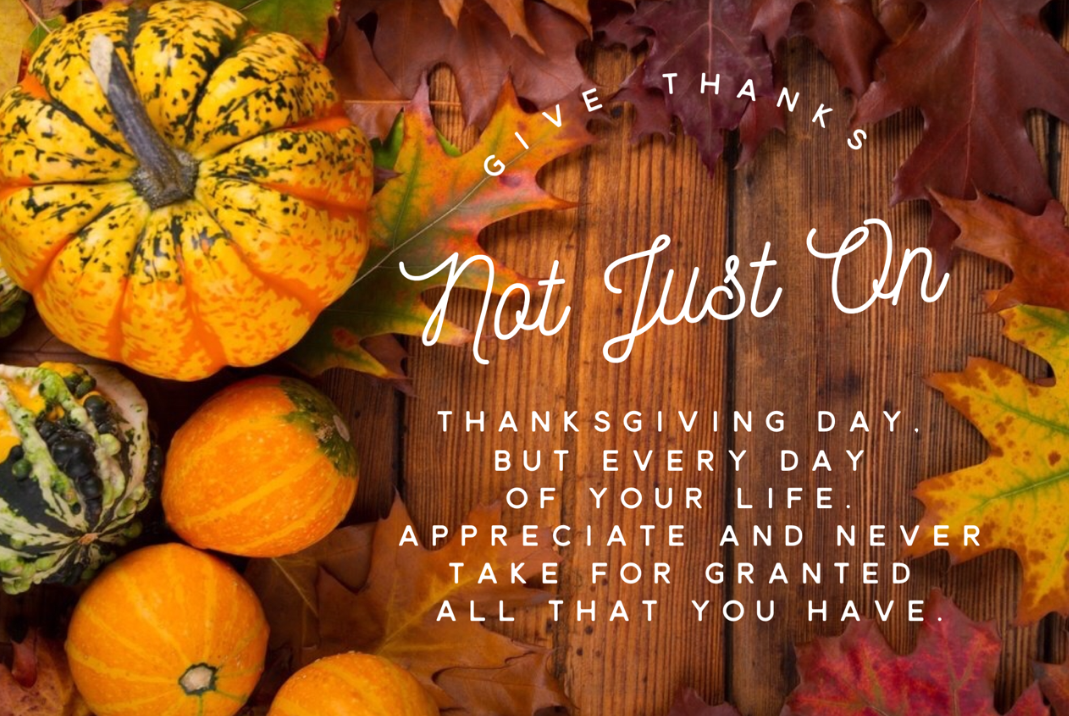 Give thanks not just on Thanksgiving Day, but every day of your life. Appreciate and never take for granted all that you have.