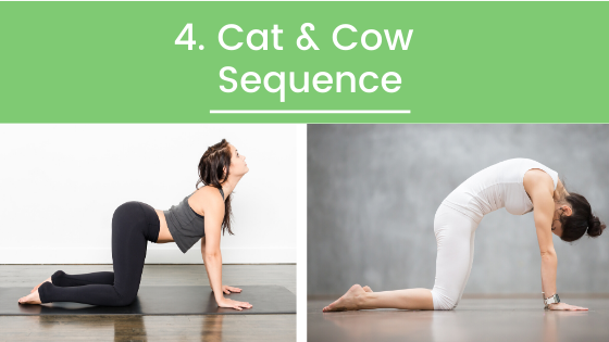 Cat Cow Pose With Leg To Side Yoga (Bitilasana Marjaryasana With