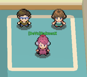 PokeMMO