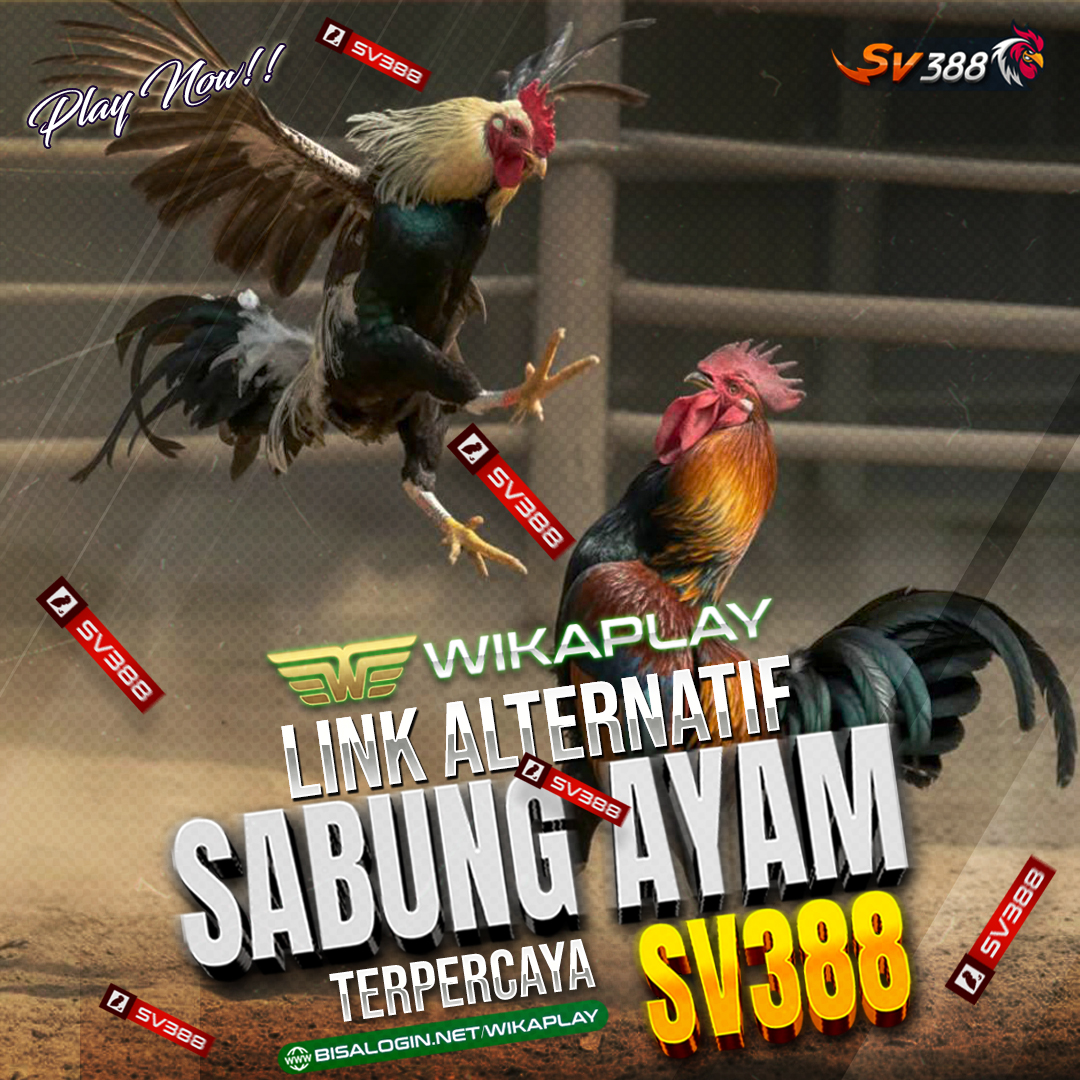 WIKAPLAY : LINK ALTERNATIF SABUNG AYAM ONLINE SV388 TERPERCAYA DI ASIA