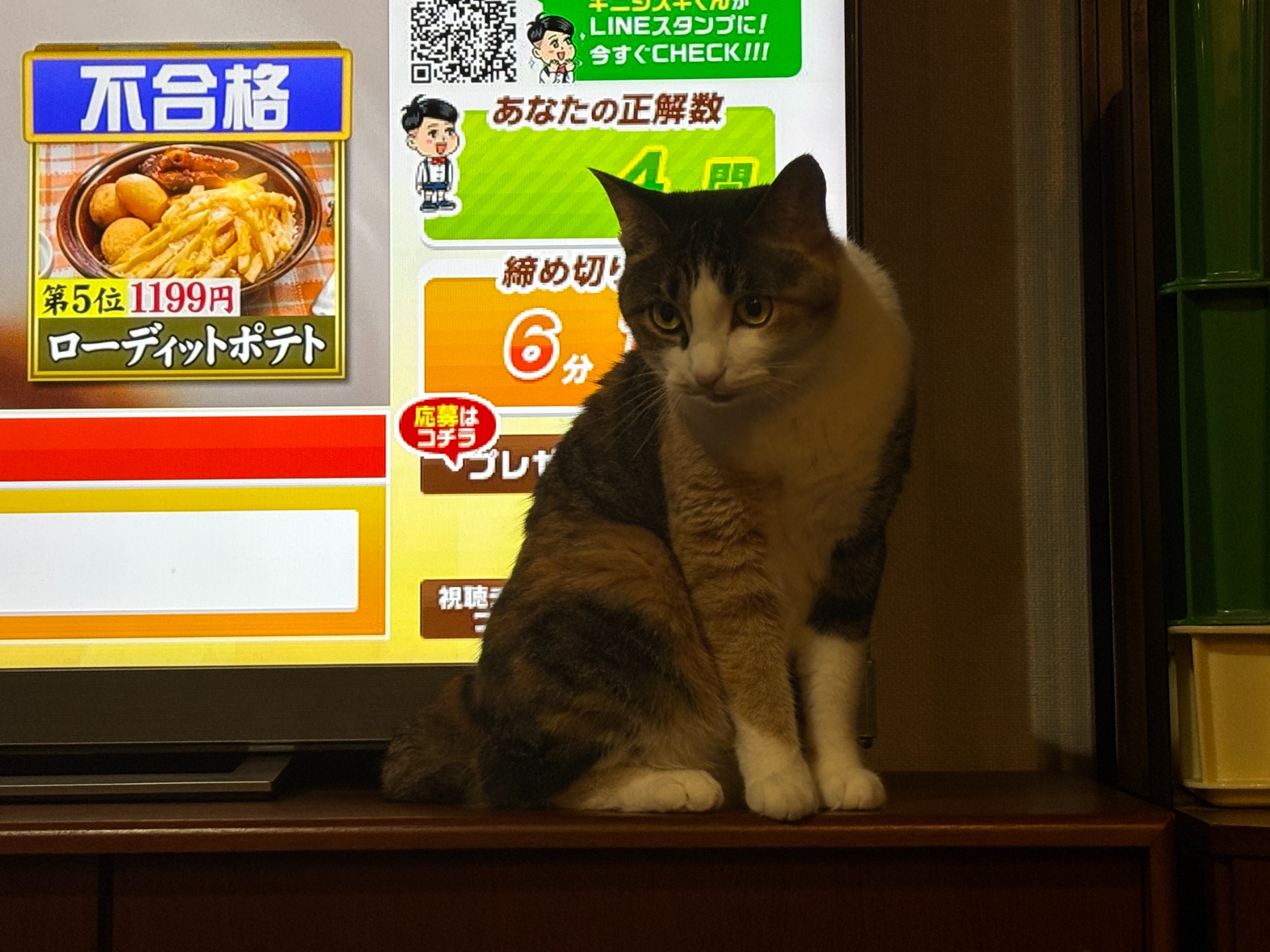 20250621 すぐ1兆倍とか言う