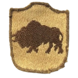 Ingame Shoulder Patch