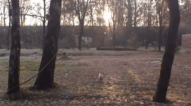 5d2d711957e49e3d5128a9509718f68f.gif