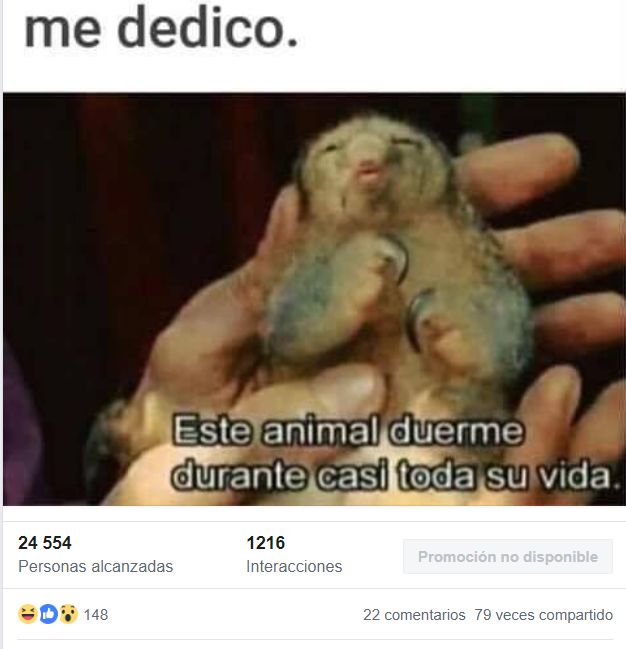 5e1db4f9c9ba4fb06fd38a953520e78a.png