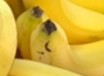 Entre estos bananos esta una polla escondida, encuentrala y seras un  dios
