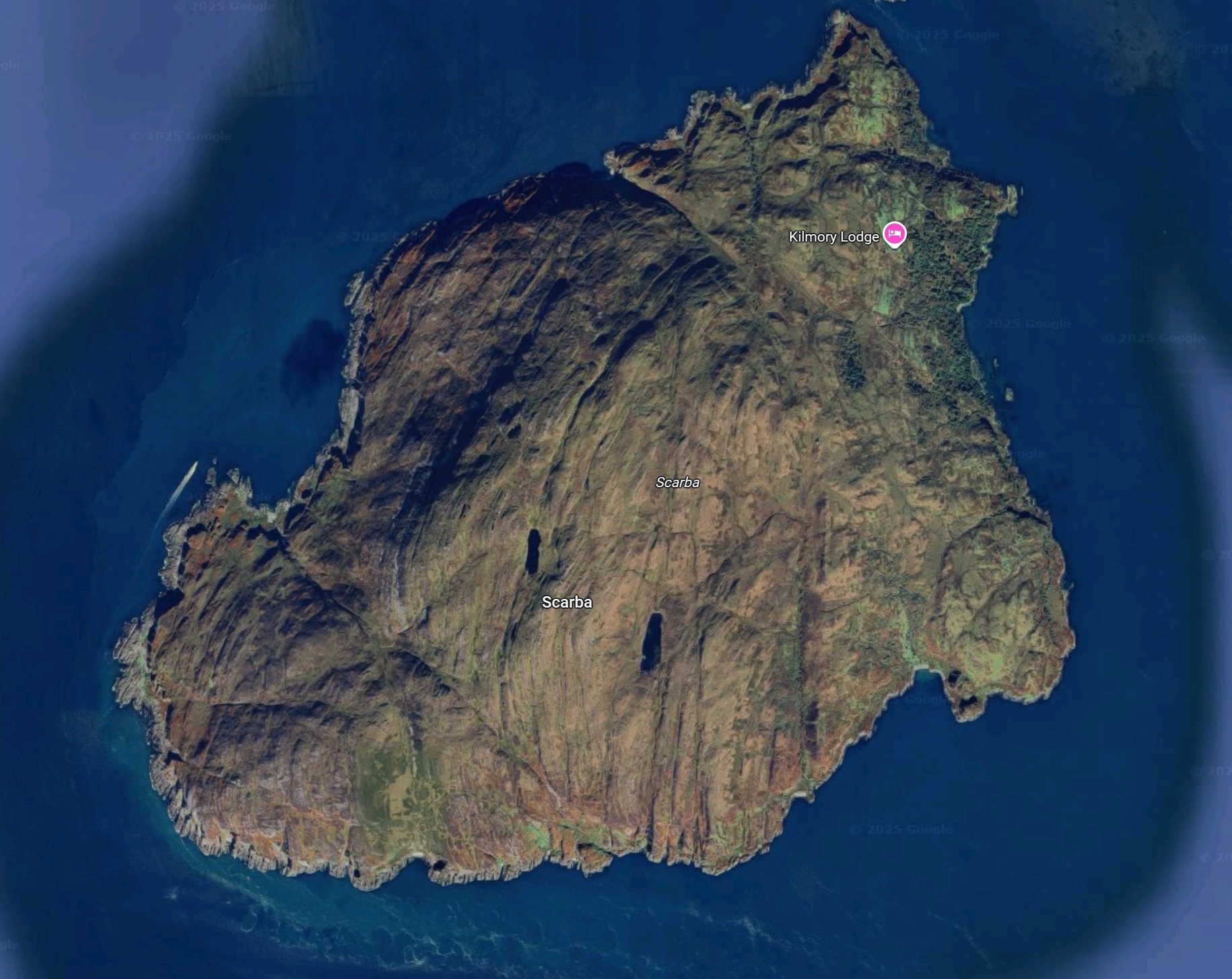 Image: https://i.gyazo.com/5e760a5350755ab90f3bcd53419495cc.jpg