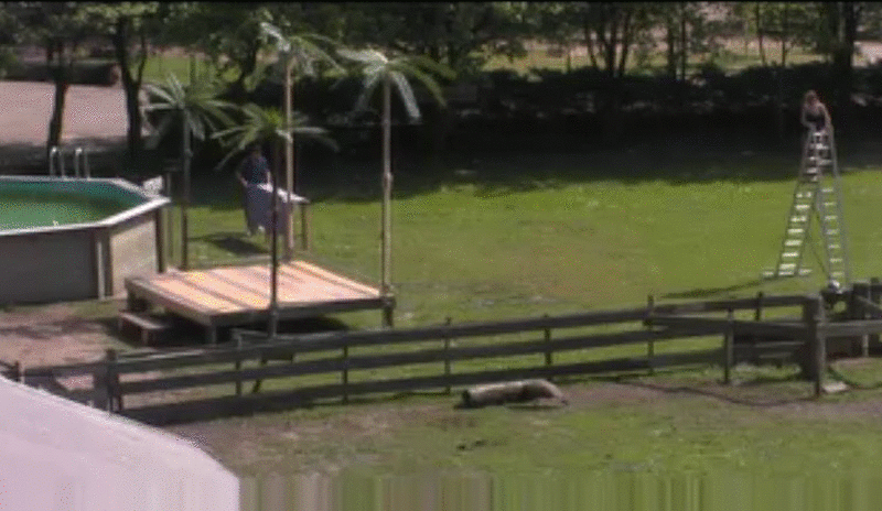 5f0d0fa0e18cde878c700ce1437bafdd.gif