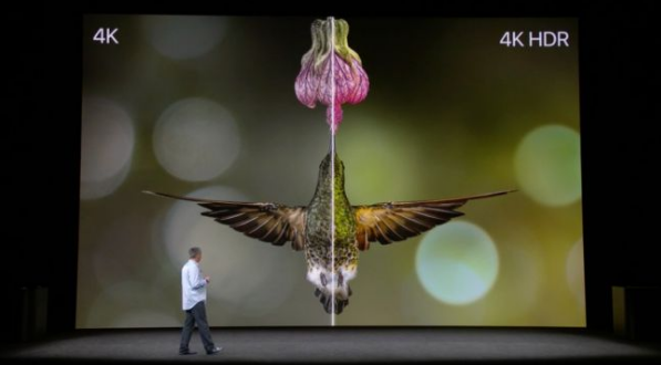 (Image Source: Techradar)