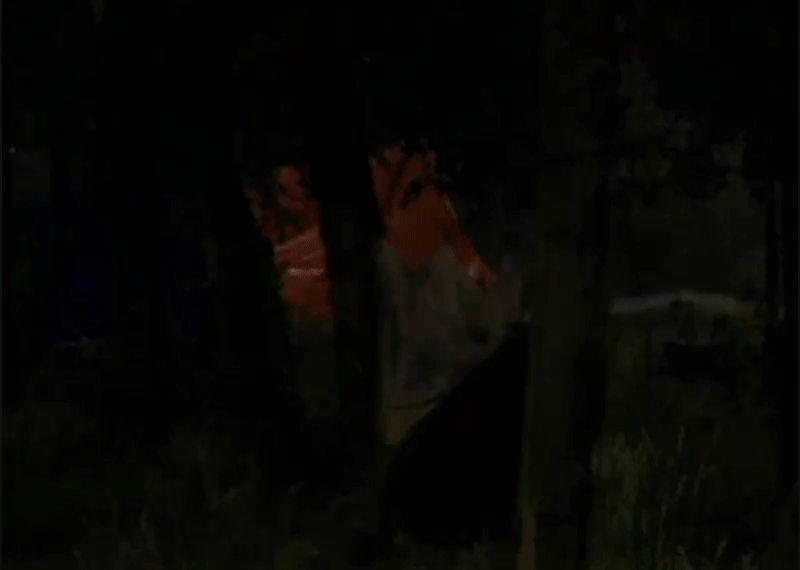 5f723d66ead065724ebfefef8ae33c96.gif