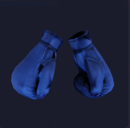 blue Boxing Gloves