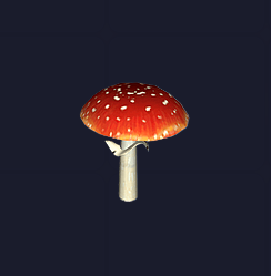 Red Amanita Mushroom