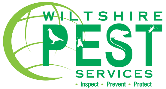 location logo
