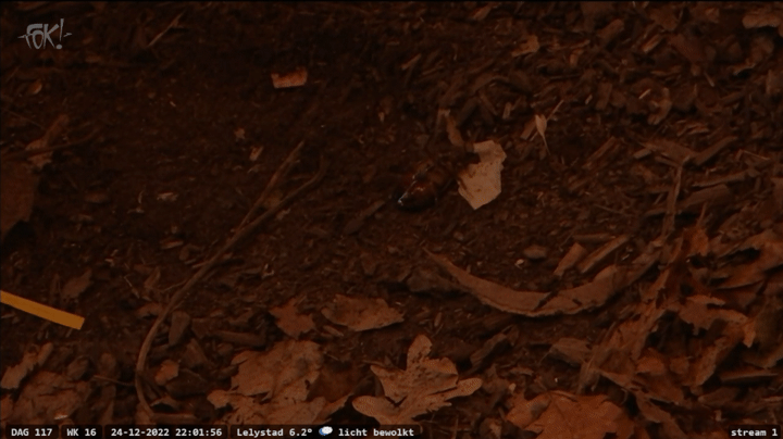 60d0f41b863a14cbbcc57c50a86295e0.gif