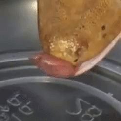 61b646f1a3a6bbab9873957a76c3f2ea.gif