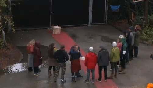 61f86727ef74c345f62968bedc428ea2.gif