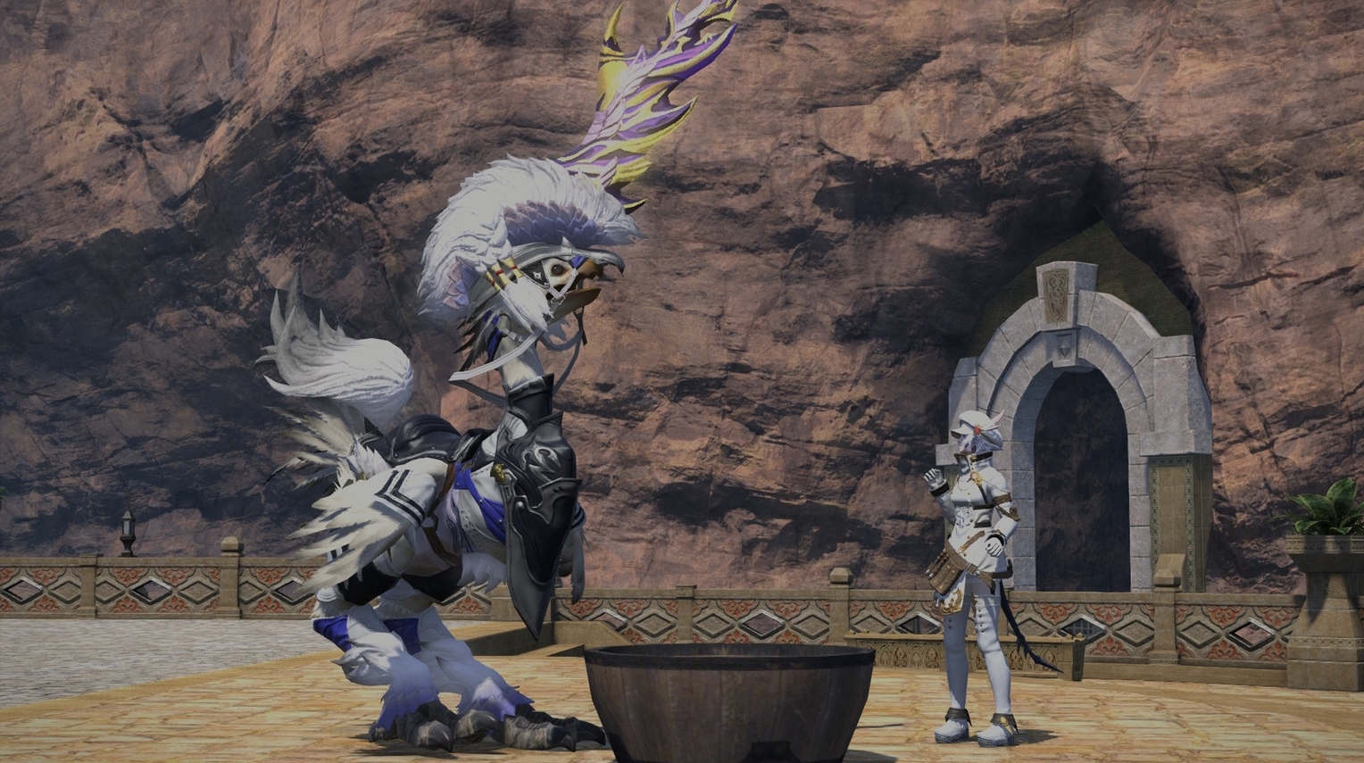 Chocolate in his new Ixion barding. 