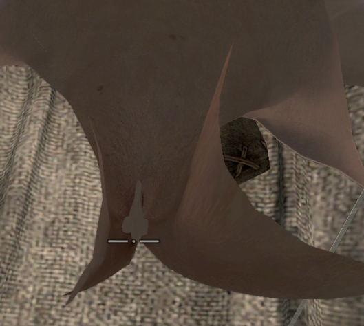 6310bd0f817def1b14a9edd63f6883ba.png
