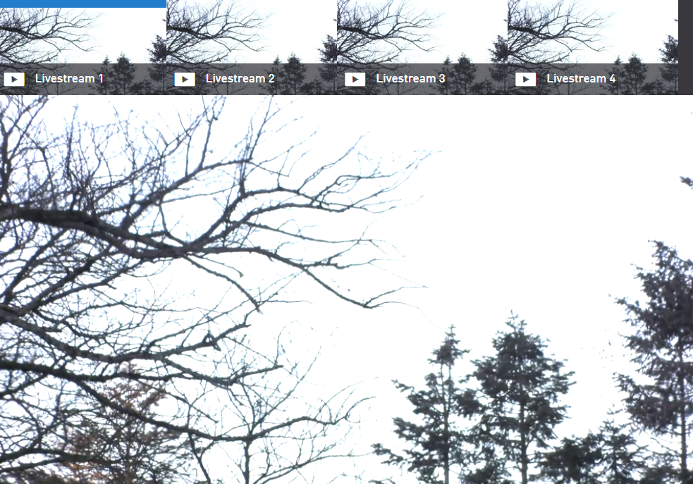63a96a20127d7cbc5a17401af88f52f8.png