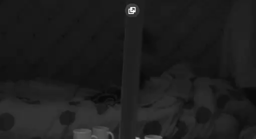 659795ffceba43566ec891666faaae73.gif