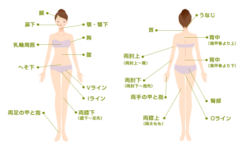 湘南美容クリニックの脱毛範囲画像 湘南美容クリニックの脱毛範囲画像