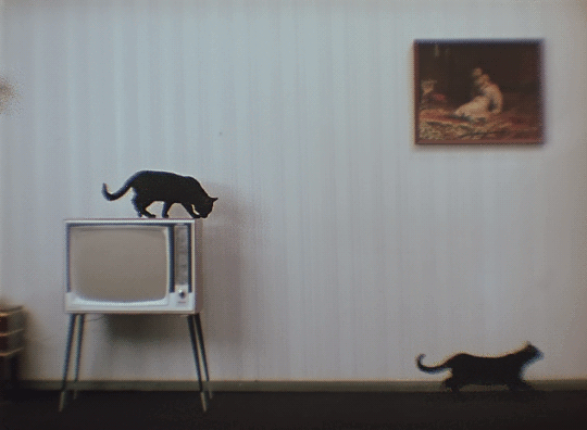 65d5aeb7a41bfa73abeb2657e3617327.gif