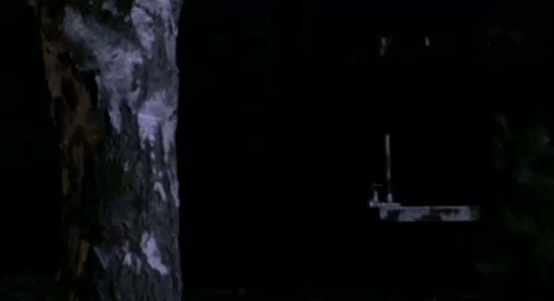 666bc8054d1c9063760b1b16b3931ef0.gif