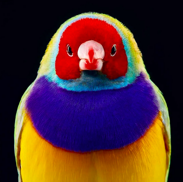 668de266215514a80ab5a935ae4c0b38.png