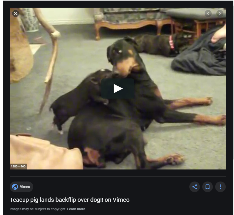 6723242d94c408fa686eb501896db04c.png