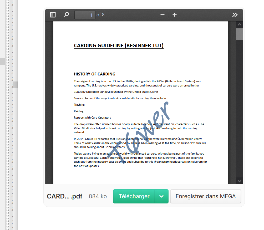 CARDING GUIDE (BEGINNER TUT) (3)📕Fresh-Method✔️-High-Quality-PDF-✔️Latest-