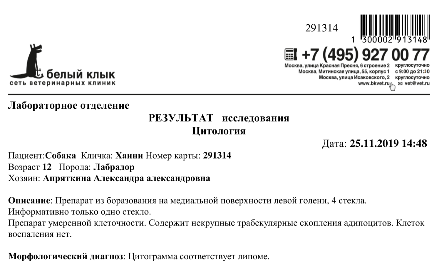 Сладким девочкам Лизе и Ханни навсегда 11 и 13 лет... В теме минус 244 тыс.  руб - Страница 16 - Мемориал - Лабрадор.ру собаки - ретриверы