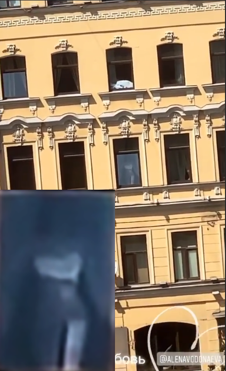 Наша Стёбка ОЛИВКА