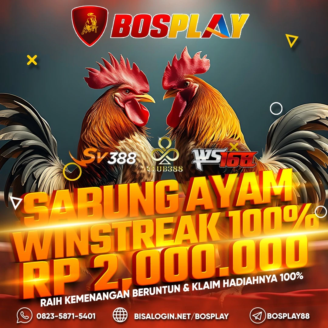 BOSPLAY Platform Sabung Ayam Online Dengan Bonus Terbesar 