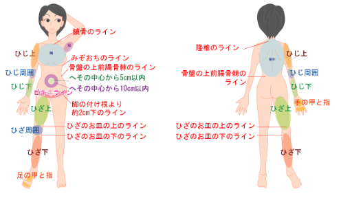 大宮スキンクリニックの脱毛範囲画像 大宮スキンクリニックの脱毛範囲画像