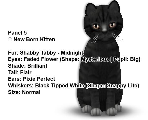 [Image: 6a7c362829e149df1ffe03809e334ded.png]