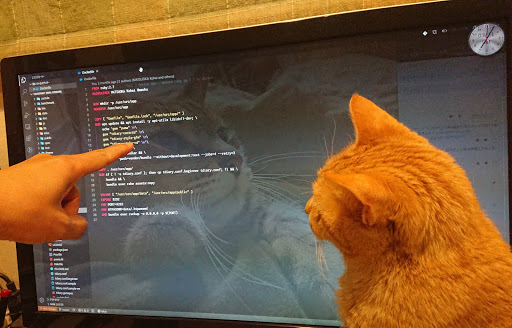 [写真]飼い猫にソースコードレビューをお願いしているところ