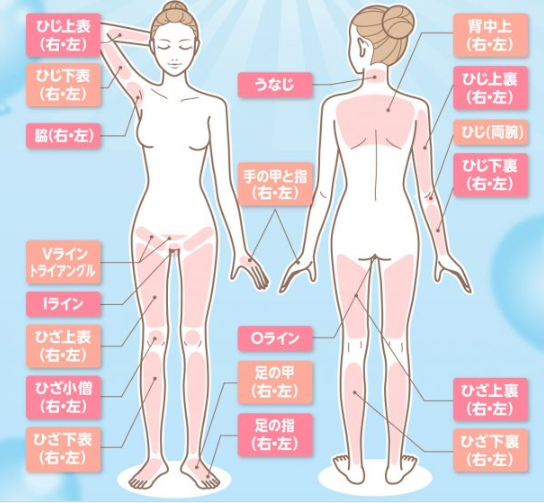 コロリーの脱毛範囲画像 コロリーの脱毛範囲画像