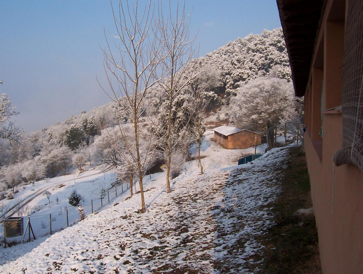 las uvas en un bungalow