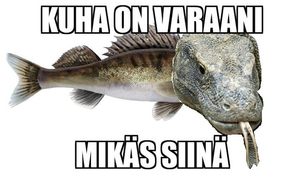 Yleistä keskustelua korttihankinnoista - Sivu 3 6d23e6db9d0fb4c8a932a5f145f40cb5