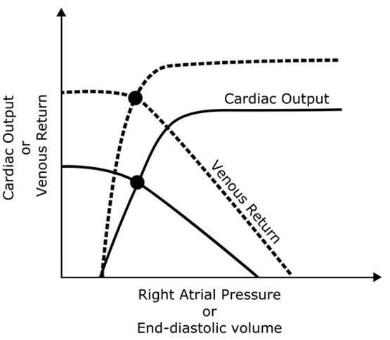 Can someone explain Chronic AV fistula affect on cardiac function curve ...