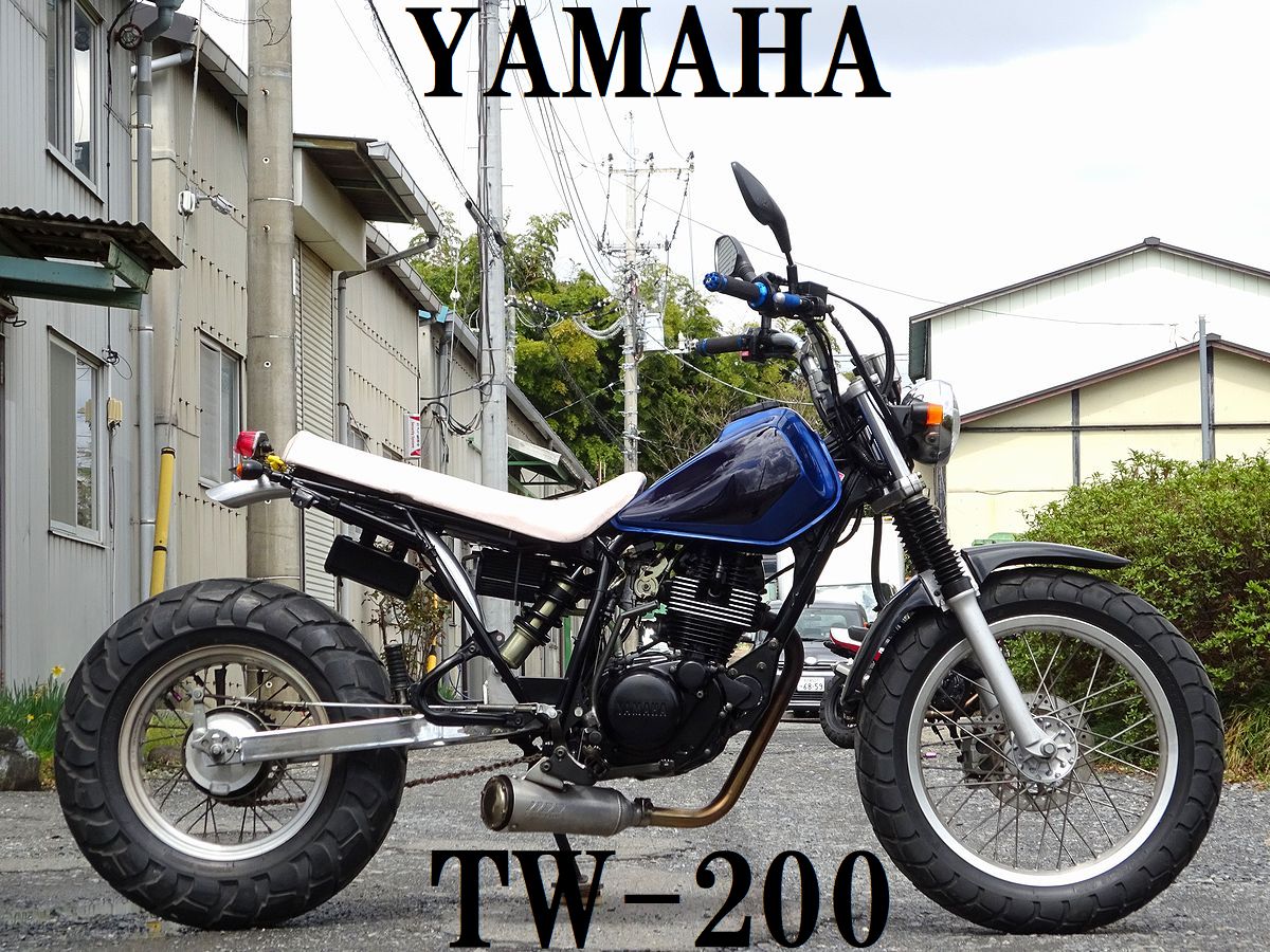 殿堂 緊急値下げ 秋のツーリングフェア TW200 2型 スカチューン