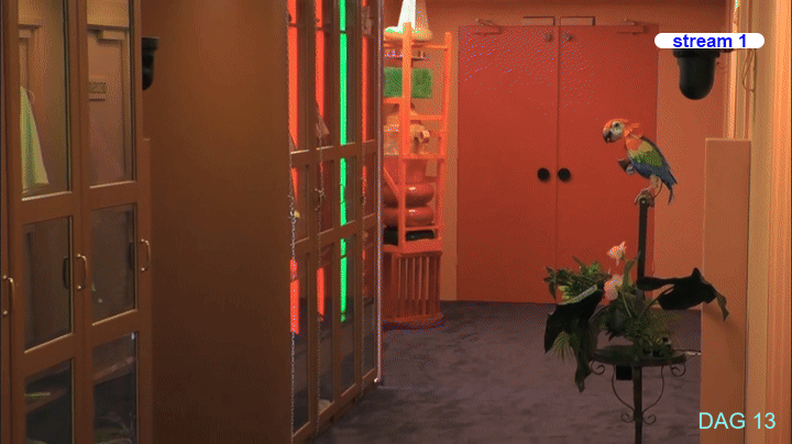 6e42cc7e22e47f33a5f48df727aa2b4e.gif