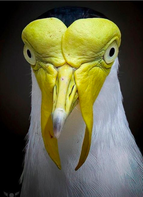 6eab32e53d8172618301c059dd88caa0.png