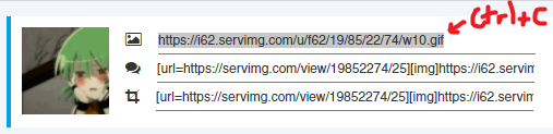 How to Upload and Post Images to the Forum Using Servimg 6eac3c67797a2926f4c34f7c8cd01102