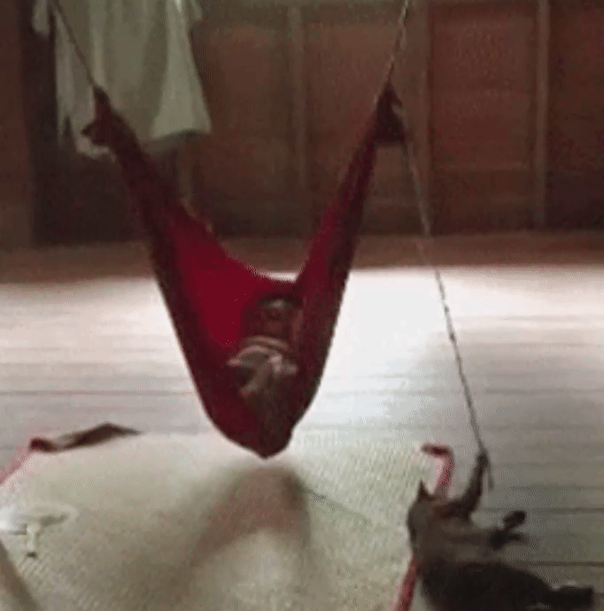 6f0a8cf66c9b115d5be86ae122977684.gif
