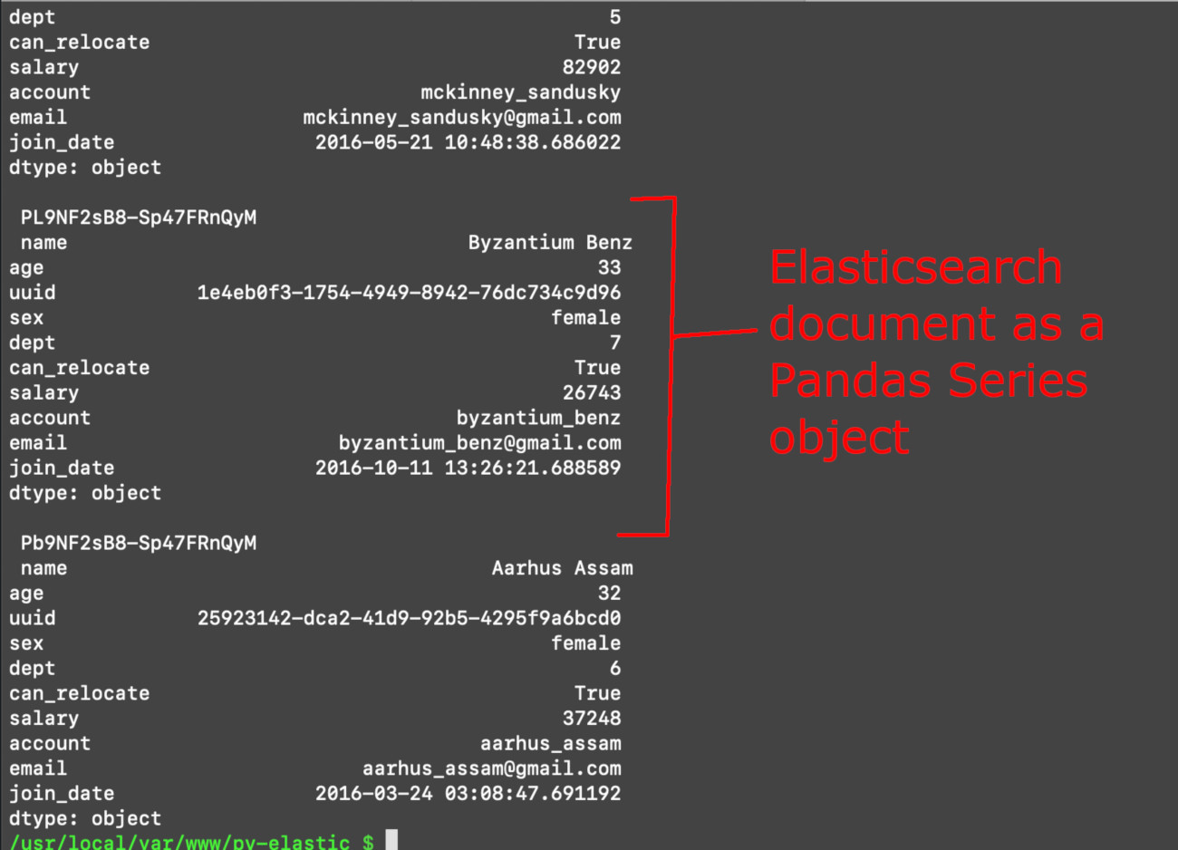 Screenshot of Python printing out Elasticsearch documents as Pandas Series objects