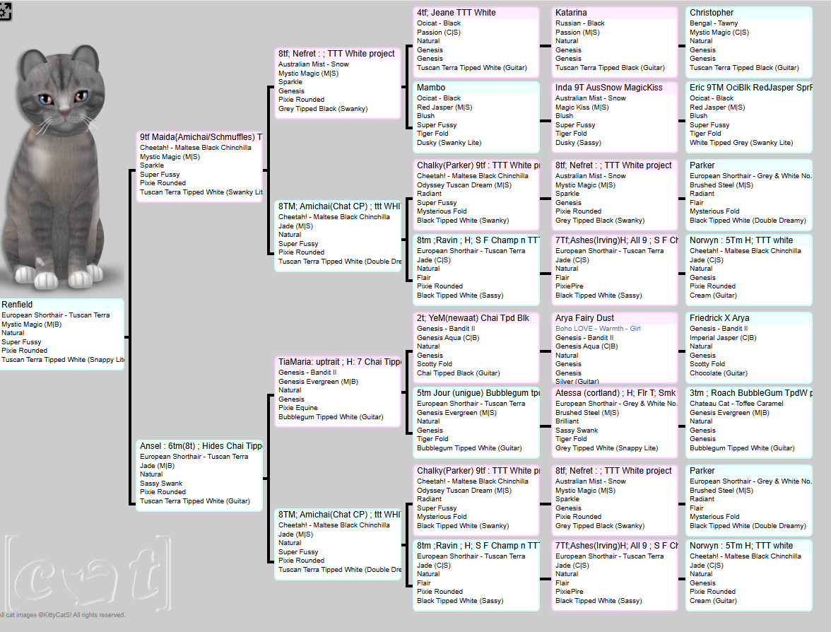 [Image: 6fbdd0142813da79d4862ab61d555034.png]