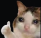 https://i.gyazo.com/6fdb0681599b74d5d409ff3a87f8fe69.png