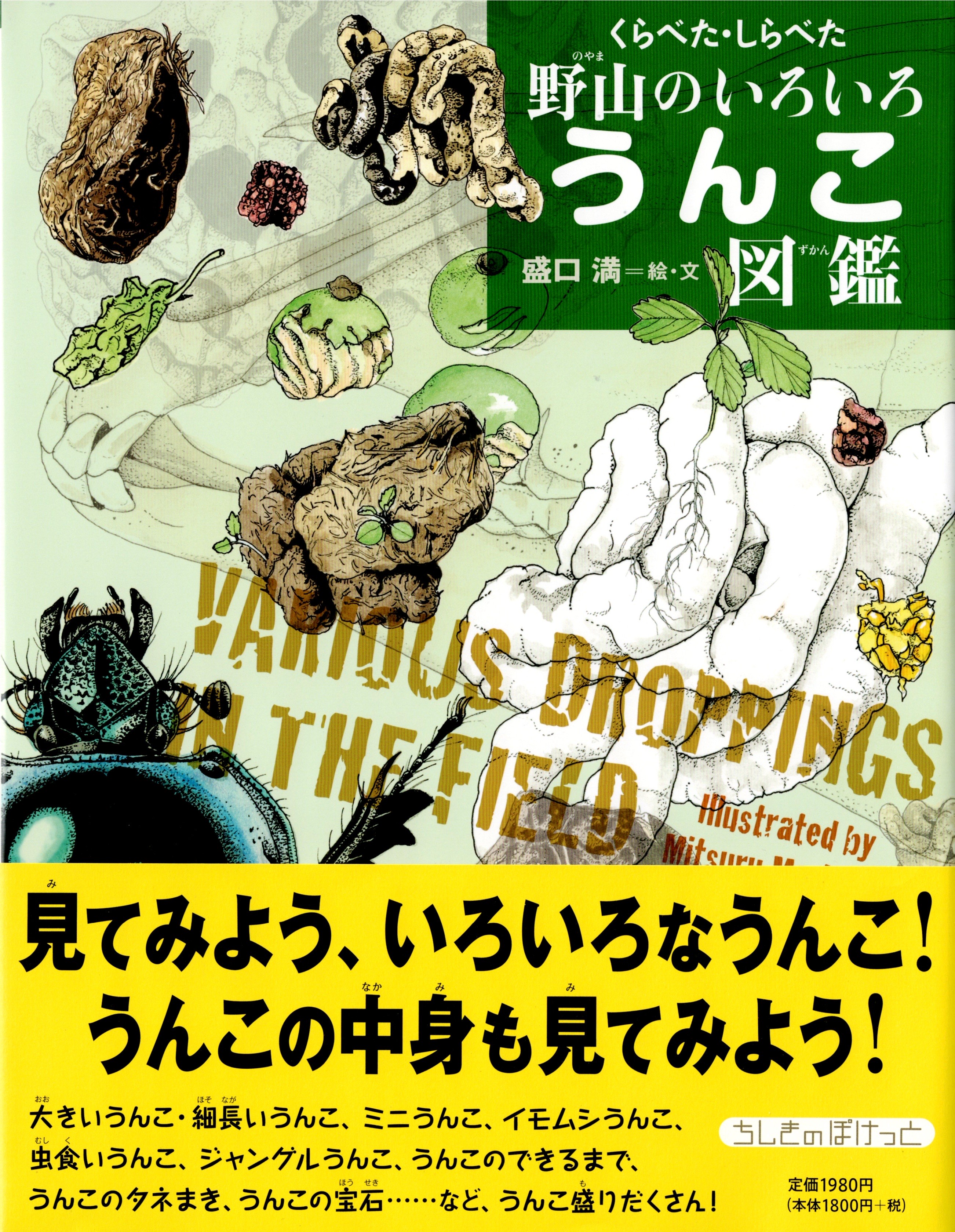 表紙